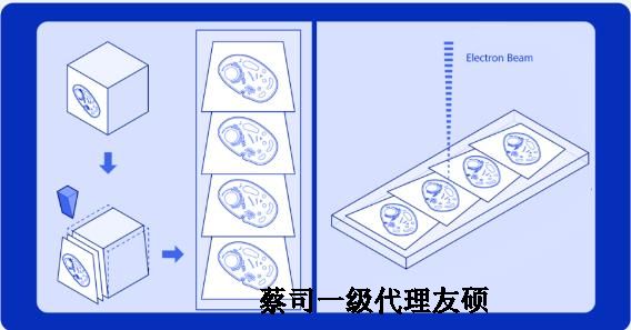 安庆蔡司安庆扫描电镜